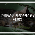 왜 무릎통증이 계속될까? 원인과 해결법