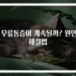 왜 무릎통증이 계속될까? 원인과 해결법
