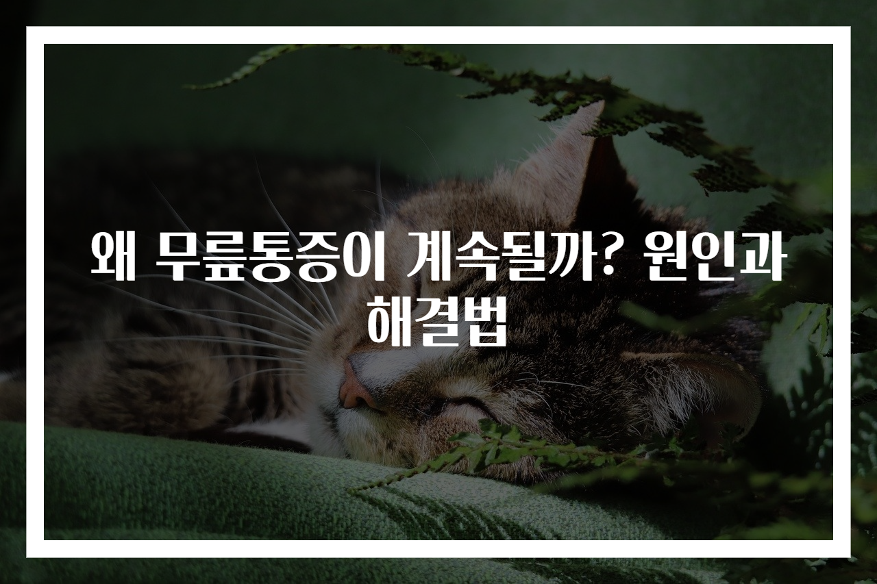 왜 무릎통증이 계속될까? 원인과 해결법
