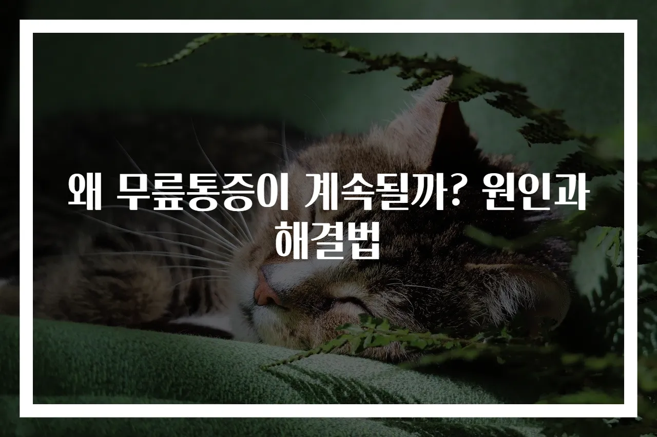 왜 무릎통증이 계속될까? 원인과 해결법