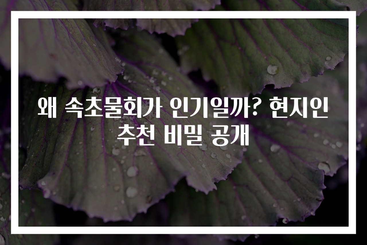 왜 속초물회가 인기일까? 현지인 추천 비밀 공개