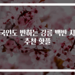 외국인도 반하는 강릉 백반 지인 추천 핫플