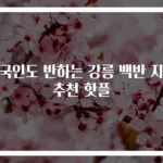외국인도 반하는 강릉 백반 지인 추천 핫플
