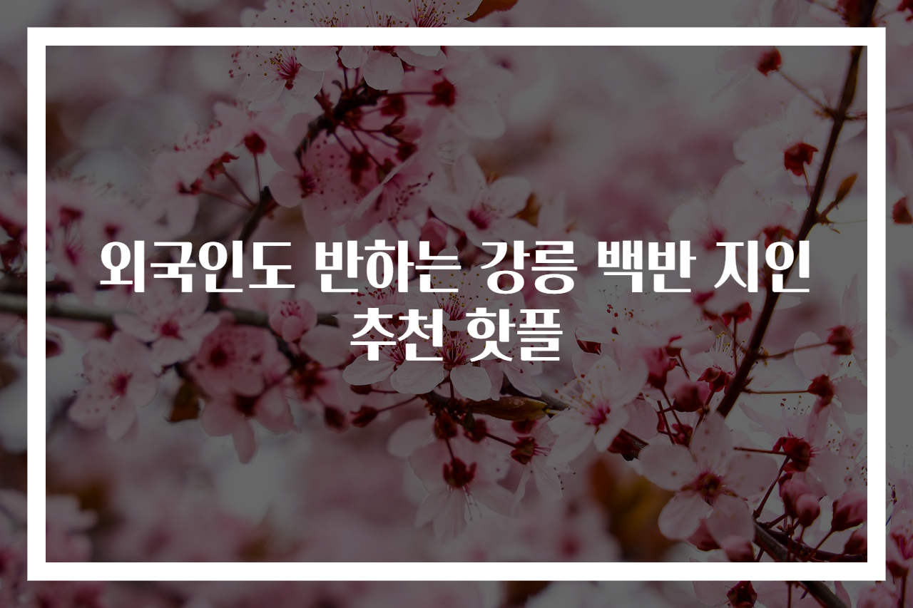외국인도 반하는 강릉 백반 지인 추천 핫플