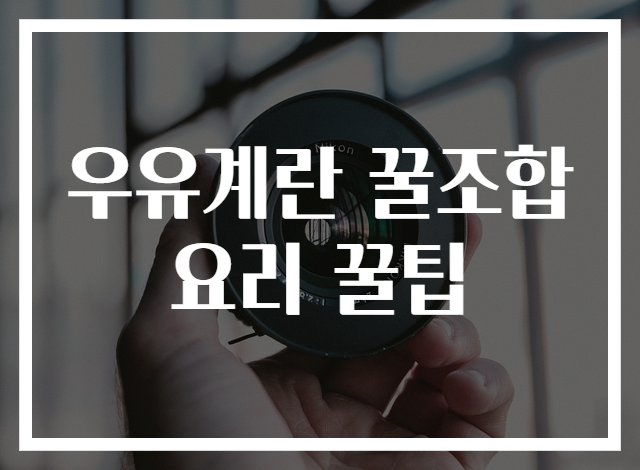 우유계란 꿀조합 요리 꿀팁