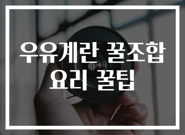 우유계란 꿀조합 요리 꿀팁