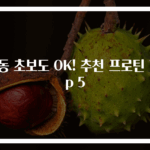 운동 초보도 OK! 추천 프로틴 Top 5