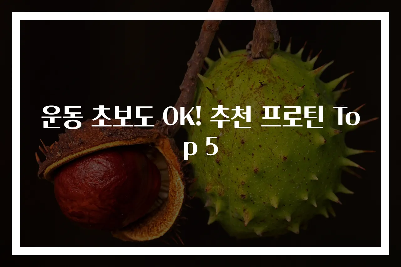 운동 초보도 OK! 추천 프로틴 Top 5