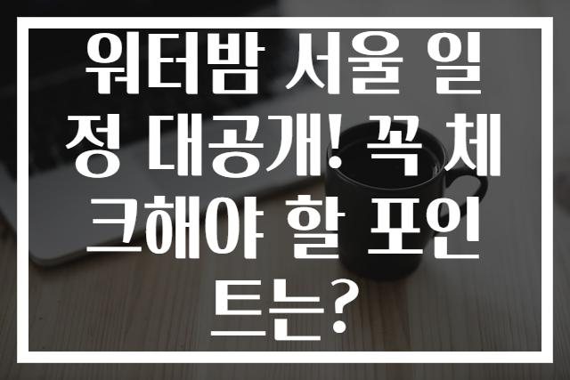 워터밤 서울 일정 대공개! 꼭 체크해야 할 포인트는?
