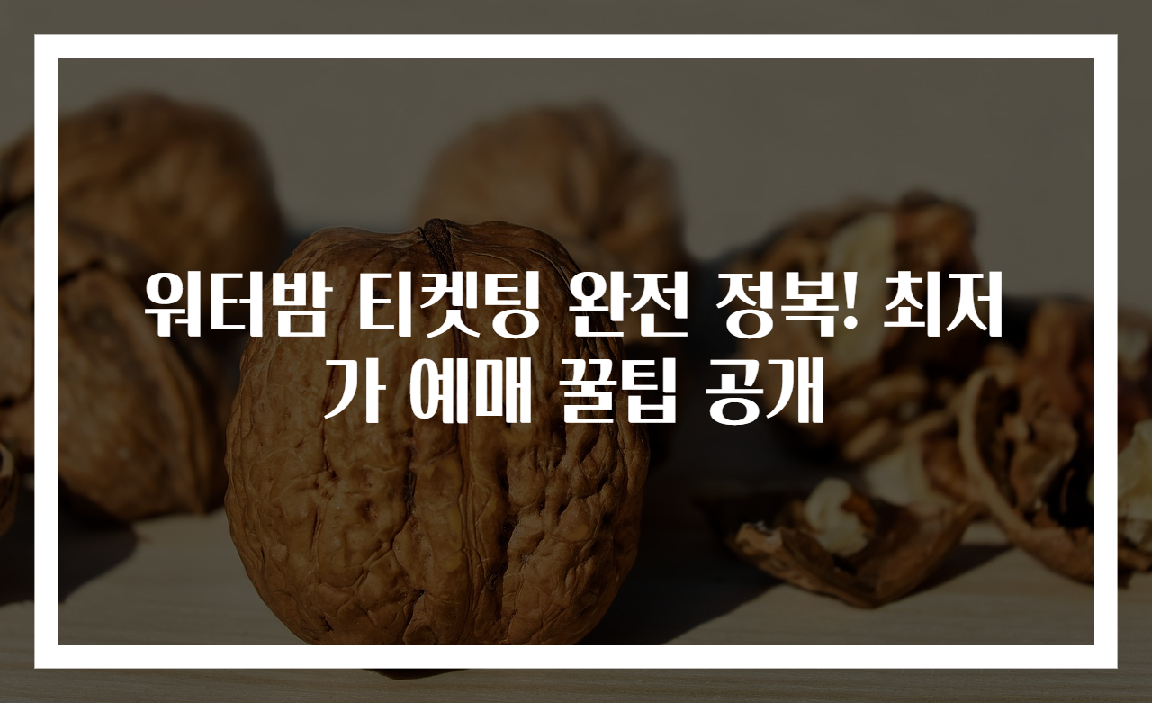 워터밤 티켓팅 완전 정복! 최저가 예매 꿀팁 공개