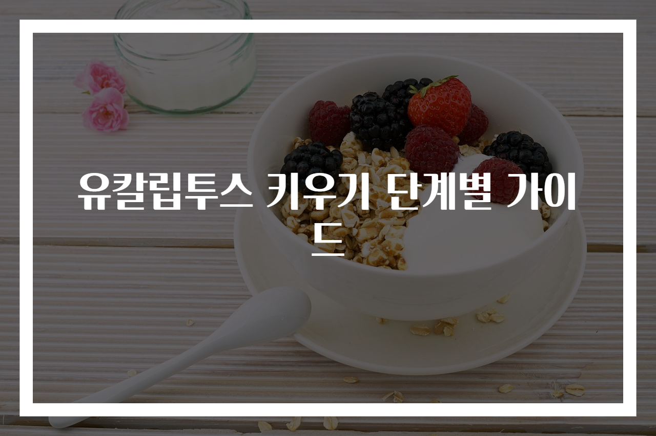 유칼립투스 키우기 단계별 가이드