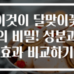 이것이 달맞이꽃의 비밀! 성분과 효과 비교하기