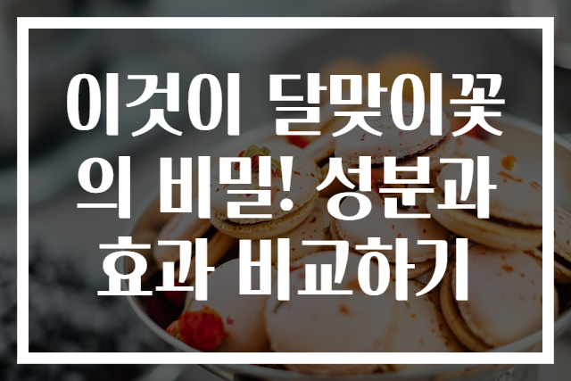 이것이 달맞이꽃의 비밀! 성분과 효과 비교하기