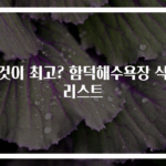 이것이 최고? 함덕해수욕장 식당 리스트