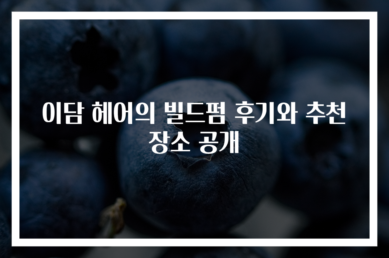 이담 헤어의 빌드펌 후기와 추천 장소 공개