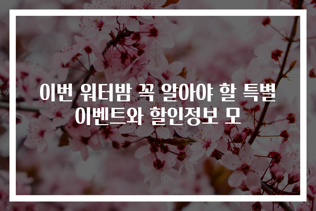 이번 워터밤 꼭 알아야 할 특별 이벤트와 할인정보 모