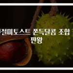 인절미토스트 쫀득달콤 조합 끝판왕