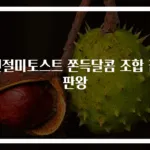 인절미토스트 쫀득달콤 조합 끝판왕