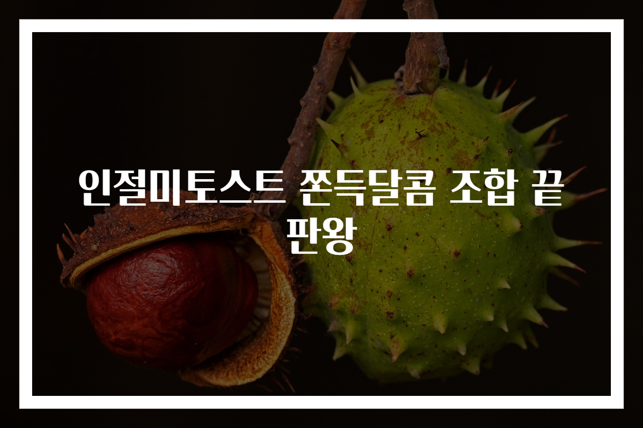 인절미토스트 쫀득달콤 조합 끝판왕