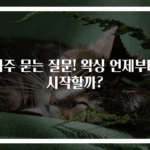 자주 묻는 질문! 왁싱 언제부터 시작할까?