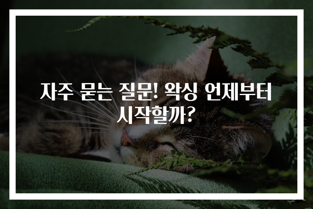 자주 묻는 질문! 왁싱 언제부터 시작할까?