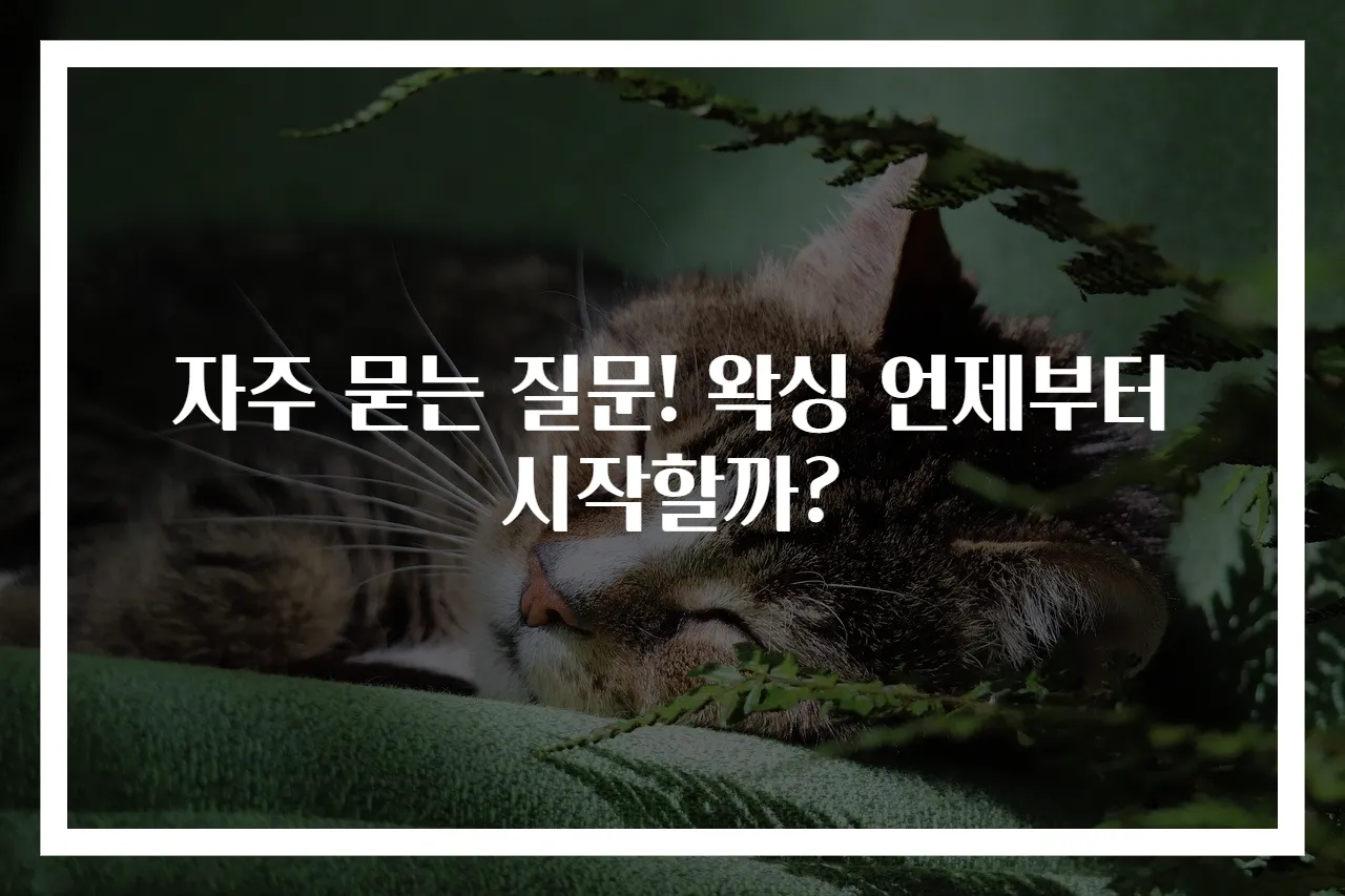 자주 묻는 질문! 왁싱 언제부터 시작할까?