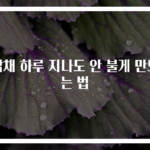 잡채 하루 지나도 안 불게 만드는 법