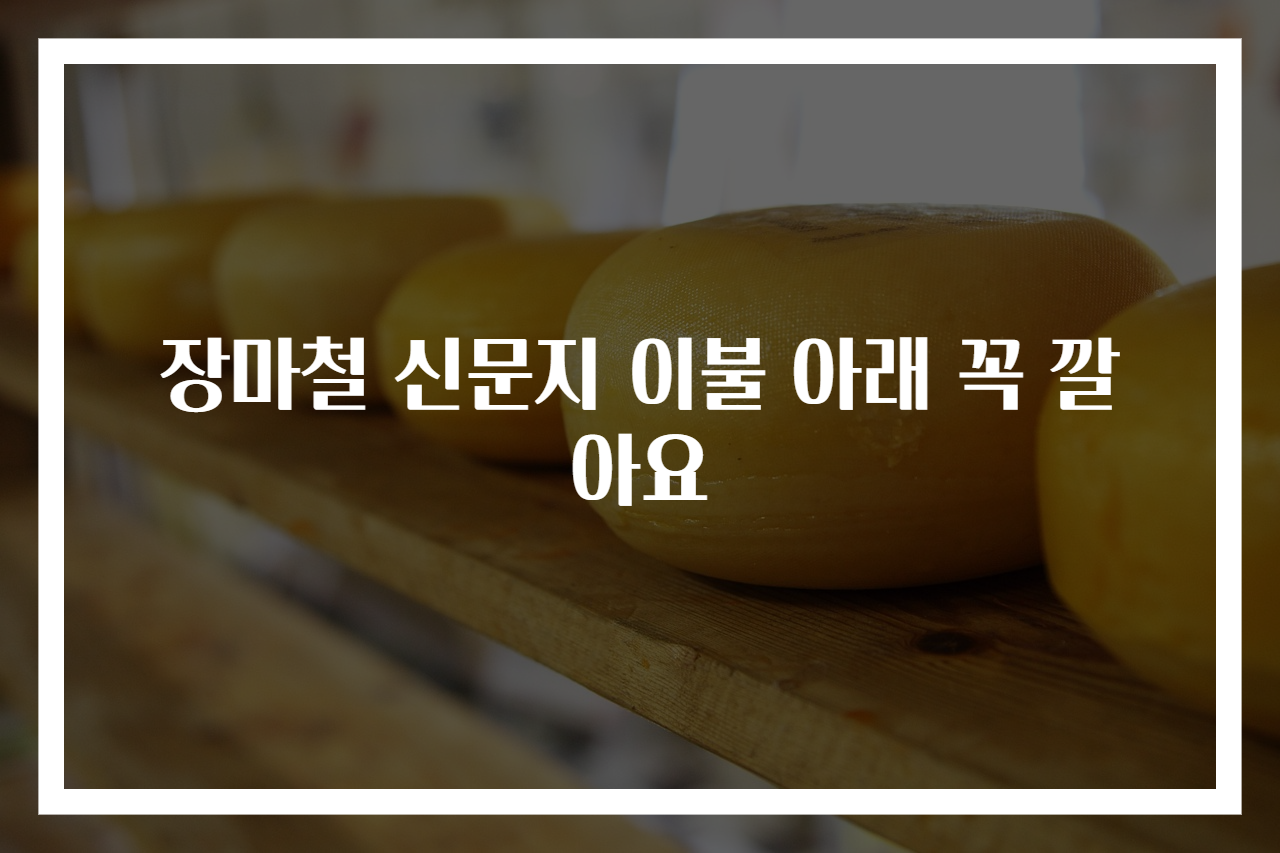 장마철 신문지 이불 아래 꼭 깔아요