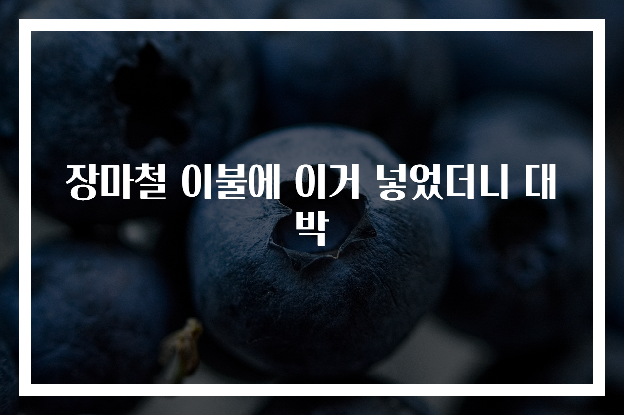 장마철 이불에 이거 넣었더니 대박