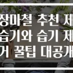 장마철 추천 제습기와 습기 제거 꿀팁 대공개