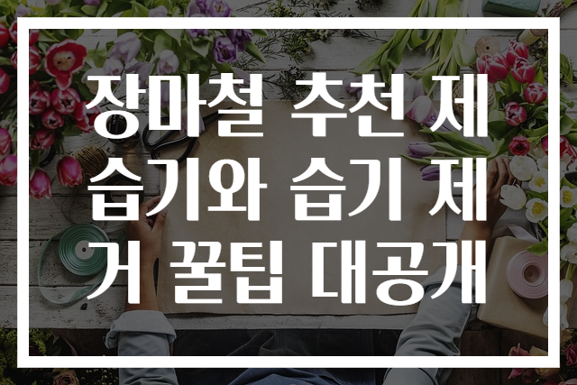 장마철 추천 제습기와 습기 제거 꿀팁 대공개
