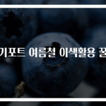 전기포트 여름철 이색활용 꿀팁