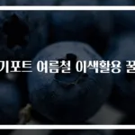 전기포트 여름철 이색활용 꿀팁