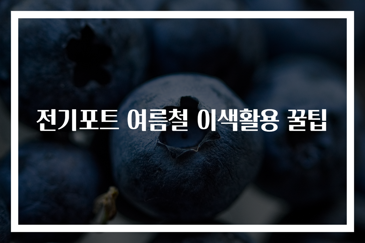 전기포트 여름철 이색활용 꿀팁