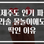 제주도 인기 파라솔 물놀이에도 딱인 이유