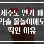 제주도 인기 파라솔 물놀이에도 딱인 이유