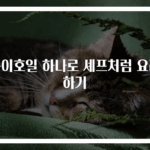 종이호일 하나로 셰프처럼 요리하기