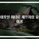 종이호일 하나로 셰프처럼 요리하기