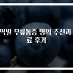 지역별 무릎통증 명의 추천과 치료 후기