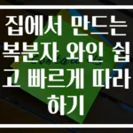 집에서 만드는 복분자 와인 쉽고 빠르게 따라하기