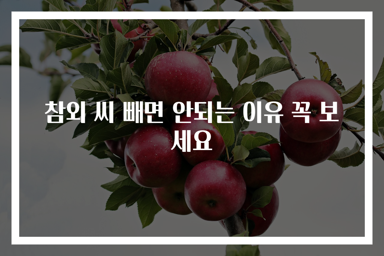 참외 씨 빼면 안되는 이유 꼭 보세요