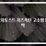 참치토스트 치즈폭탄 고소함 대박