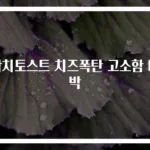 참치토스트 치즈폭탄 고소함 대박