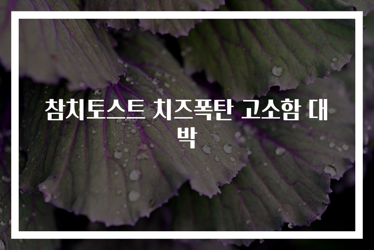 참치토스트 치즈폭탄 고소함 대박