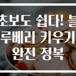 초보도 쉽다! 블루베리 키우기 완전 정복