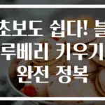 초보도 쉽다! 블루베리 키우기 완전 정복