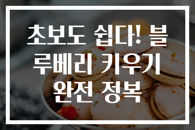 초보도 쉽다! 블루베리 키우기 완전 정복
