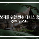 초보자를 위한 필수 테니스 용품 추천 리스트
