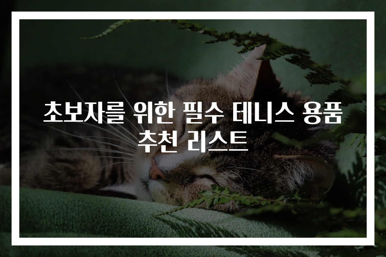 초보자를 위한 필수 테니스 용품 추천 리스트