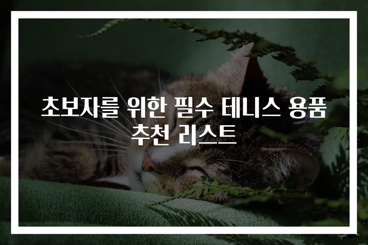 초보자를 위한 필수 테니스 용품 추천 리스트